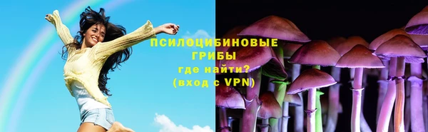 дурь Новозыбков