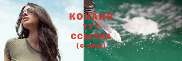 гашик Новокубанск