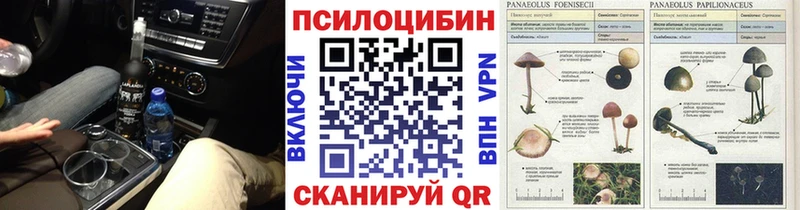 blacksprut как зайти  Новая Ладога  Псилоцибиновые грибы MAGIC MUSHROOMS 